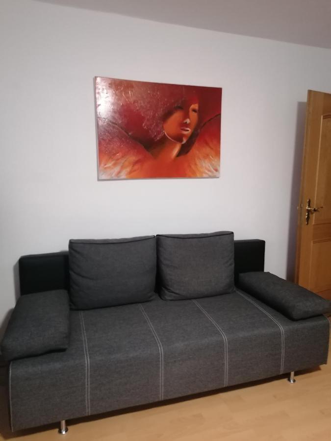 Hortensia - Appartment - Ferienwohnung - Ferienhaus Munzkirchen 外观 照片